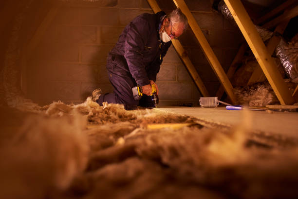 Types of Insulation We Offer in Chebanse, IL